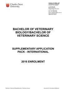 Supplementary Application Pack - International