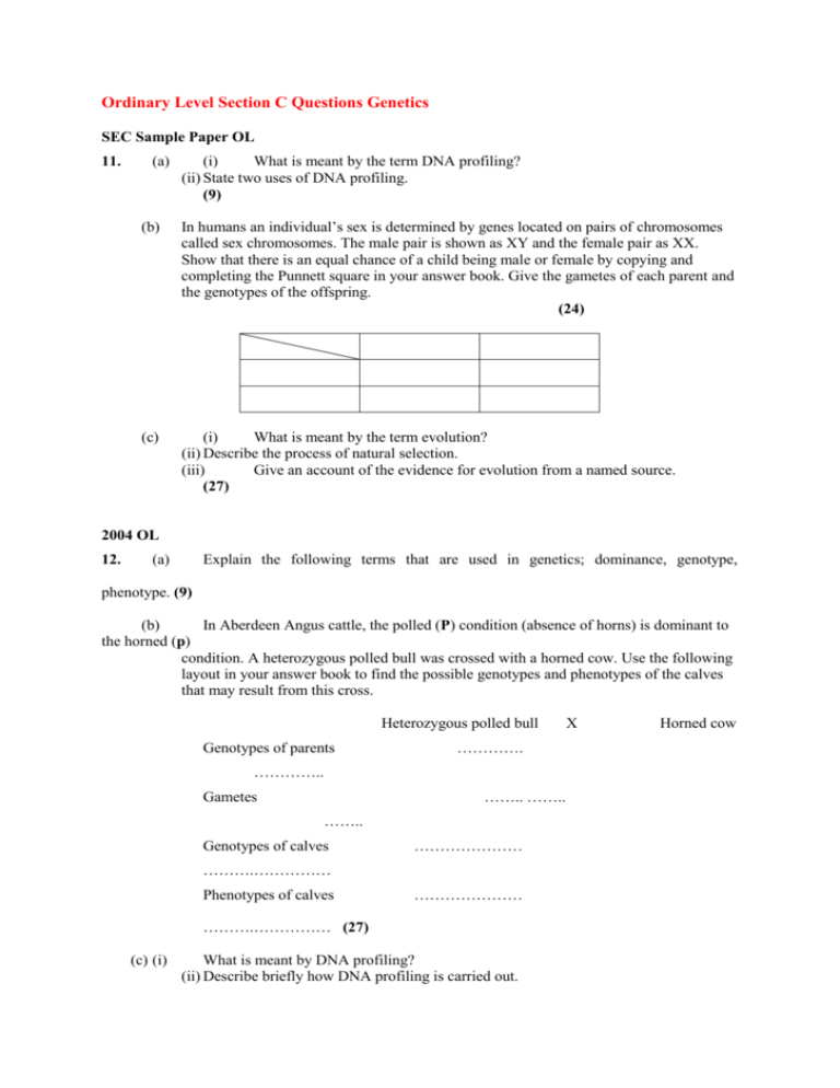 i-explain-what-is-meant-by-the-term-bond-order-chegg