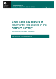 Small-scale aquaculture of ornamental fish species in the Northern