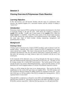 Cloning Overview & Polymerase Chain Reaction