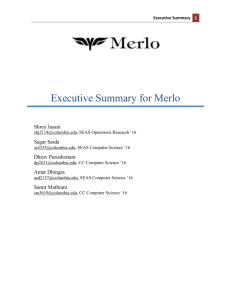 Executive Summary for Merlo
