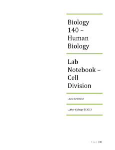 Biology 140 * Human Biology
