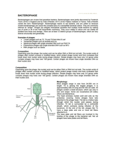 Bacteriophage - WordPress.com