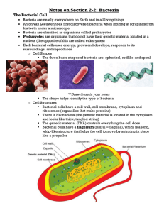 Notes on Section 2-2: Bacteria