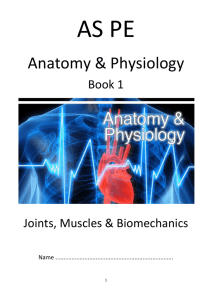 Muscular system, skeletal system, biomechanics.