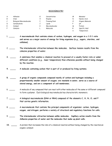 Keystone Vocab Memory Checks