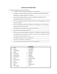 Genetics Unit Study Guide