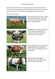 breeding cows - WordPress.com