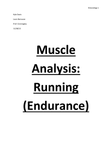 Kinesology Muscle Analysis (WORD)