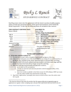 Stud Dog Contract - the Rocky L Ranch