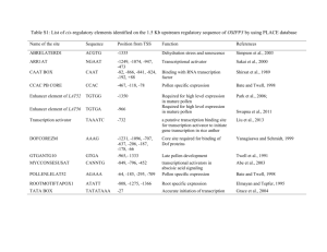 Table S1: List of cis-regulatory elements identified on the 1.5 Kb