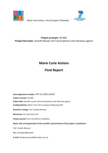 final1-in-smc-final-report-publishable-summary-viiri-le