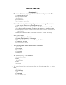 Practice Exam 3