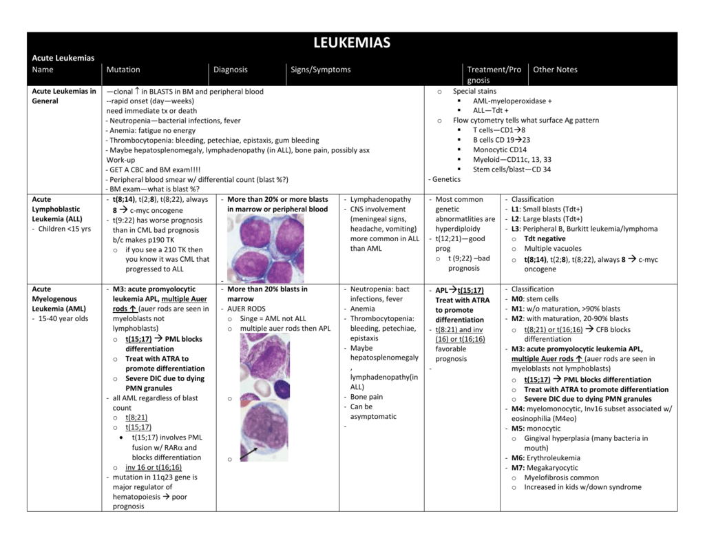 Leukemia Flow Chart