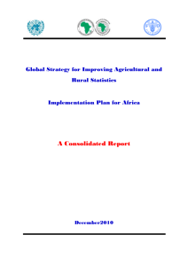 summary of the implementation plan for africa