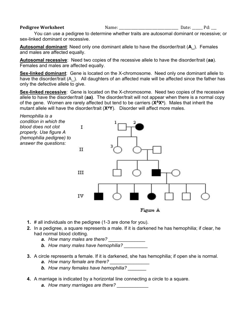 Pedigree Worksheet 3 Hemophilia The Royal Disease | TUTORE ...