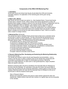 Components of the WSU - CON Faculty Mentoring Plan