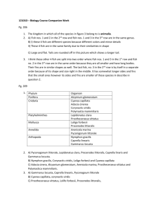 121010 – Biology Course Companion Work Pg. 206 The kingdom in