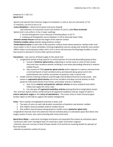 Anatomy Ch 2 101-111 [4-20