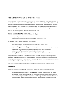 Adult Feline Wellness Program Schedule
