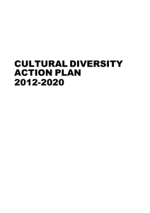 Why a Cultural Diversity Action Plan?