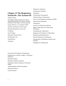 Chapter 12 The Respiratory System-Dr. Alex