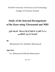 Study of the Internal Derangement