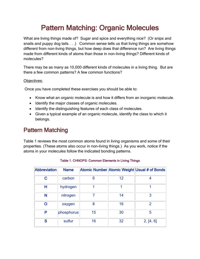 Macromolecule Matching Worksheet Answers TUTORE ORG Master Of Documents