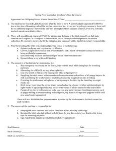 Tyce`s Stud Contract