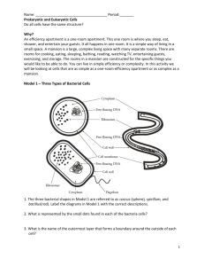 Prokaryote and Eukaryote Worksheet