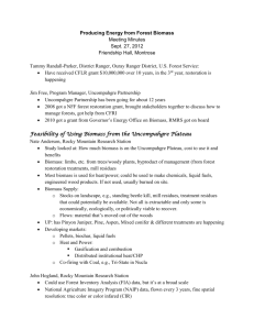 Producing Energy from Forest Biomass Sept 27 2012 Meeting Minutes