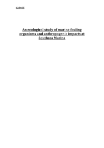 628405 An ecological study of marine fouling organisms