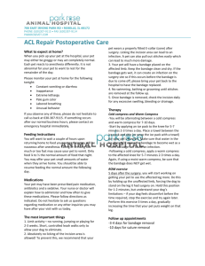 ACL Repair Postoperative Care