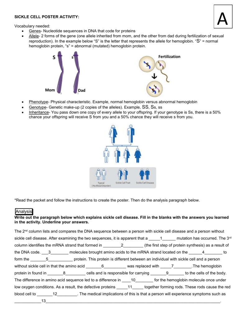 data analysis paragraph example