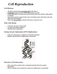 cells are derived from preexisting cells