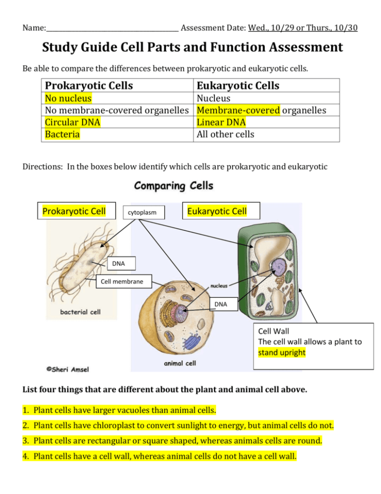 Cell Structure Test Study Guide