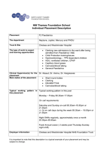 Appendix E * Individual placement description (Template)