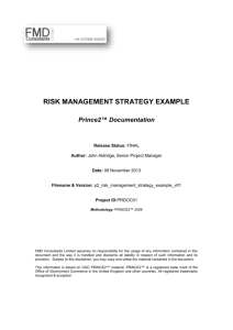 Risk Management Strategy Example