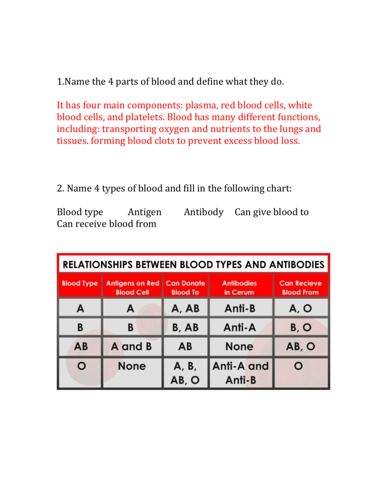 Forensics Blood Test Review Answers 
