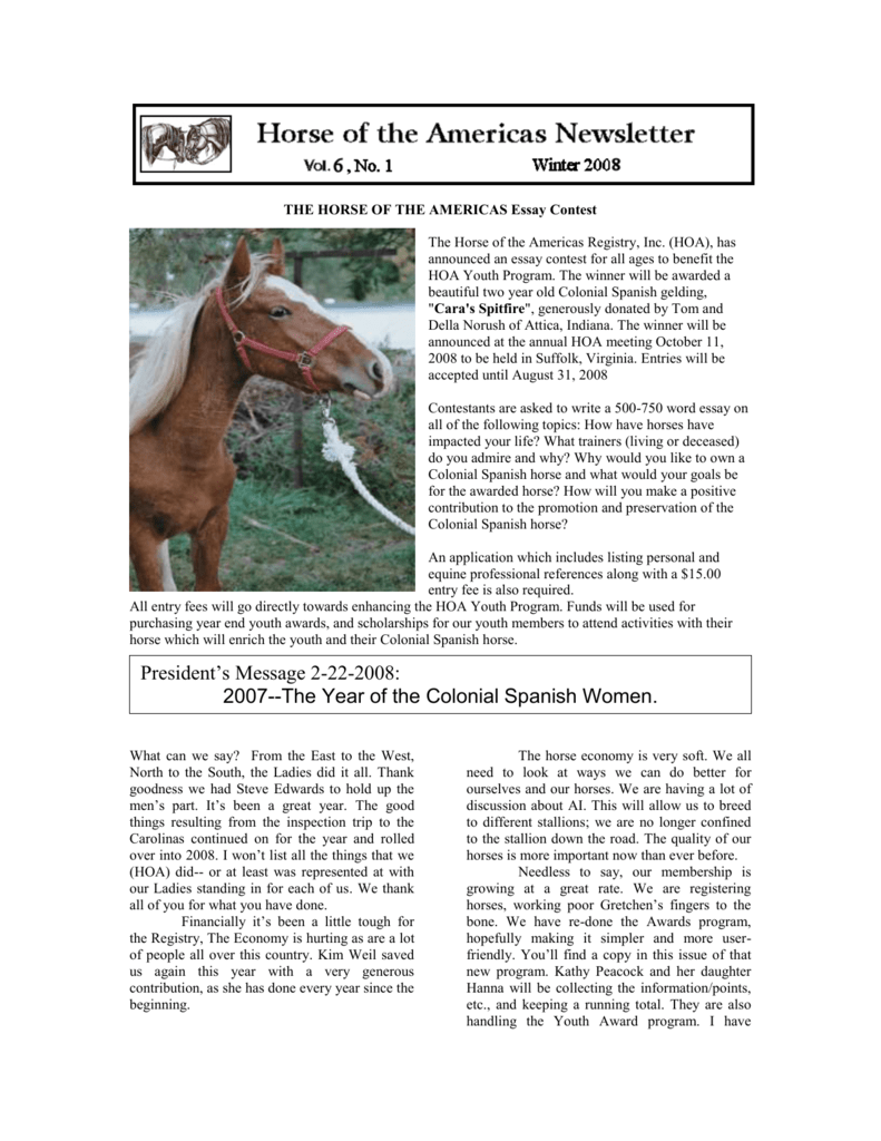 WENDY HORSES TUNIC v.salt&pepper size 116-152 SO 2010
