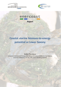 enercoast coastal biomass potential Wadden Sea