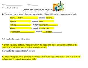 Heredity Unit Test Study Guide/Practice