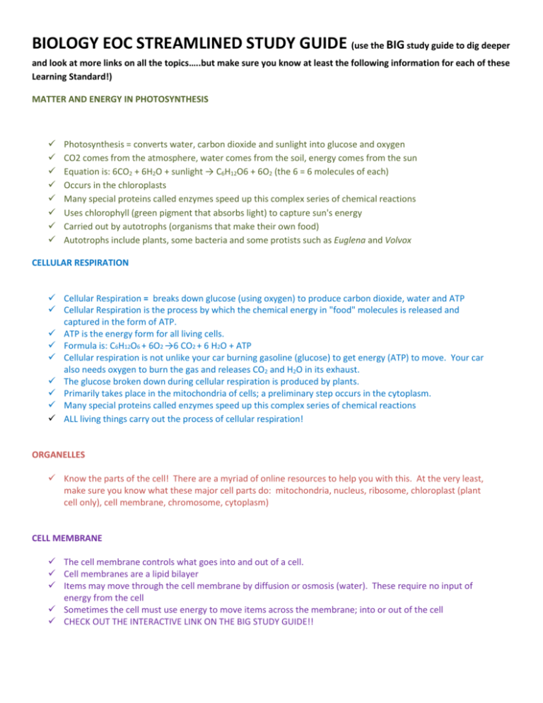 BIOLOGY EOC STREAMLINED STUDY GUIDE BIOLOGY EOC STREAMLINED STUDY GUIDE