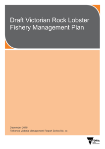 Draft rock lobster management plan [MS Word Document