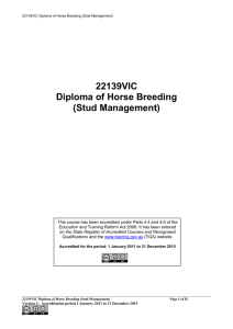 Diploma of Horse Breeding (Stud Management) * 22139VIC