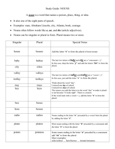 Study Guide: NOUNS - Henry County Schools
