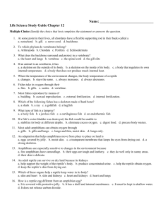 Life Science Chapter 12 Study Guide