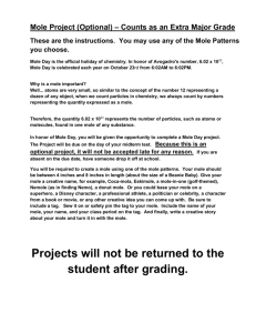 Mole Project Instructions