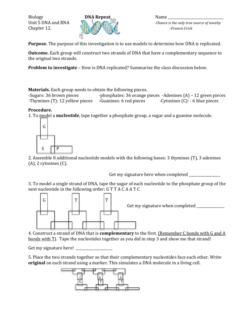 Biology DNA Repeat unit 5 - Mounds Park Academy Blogs