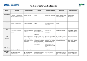 Teacher notes for ZSL London Zoo quizzes